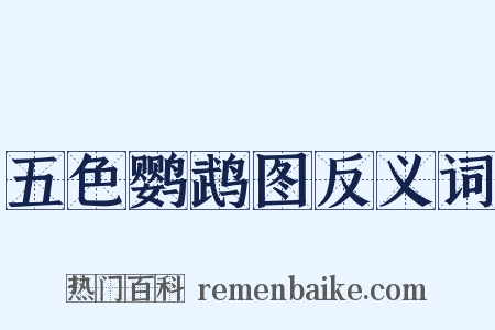 五色鹦鹉图反义词是什么意思的图片